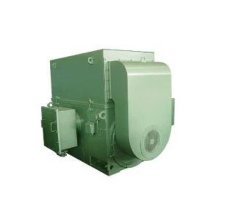 西安泰富西瑪電機  YJTFKK4002-8  250kw 380V 變頻電機